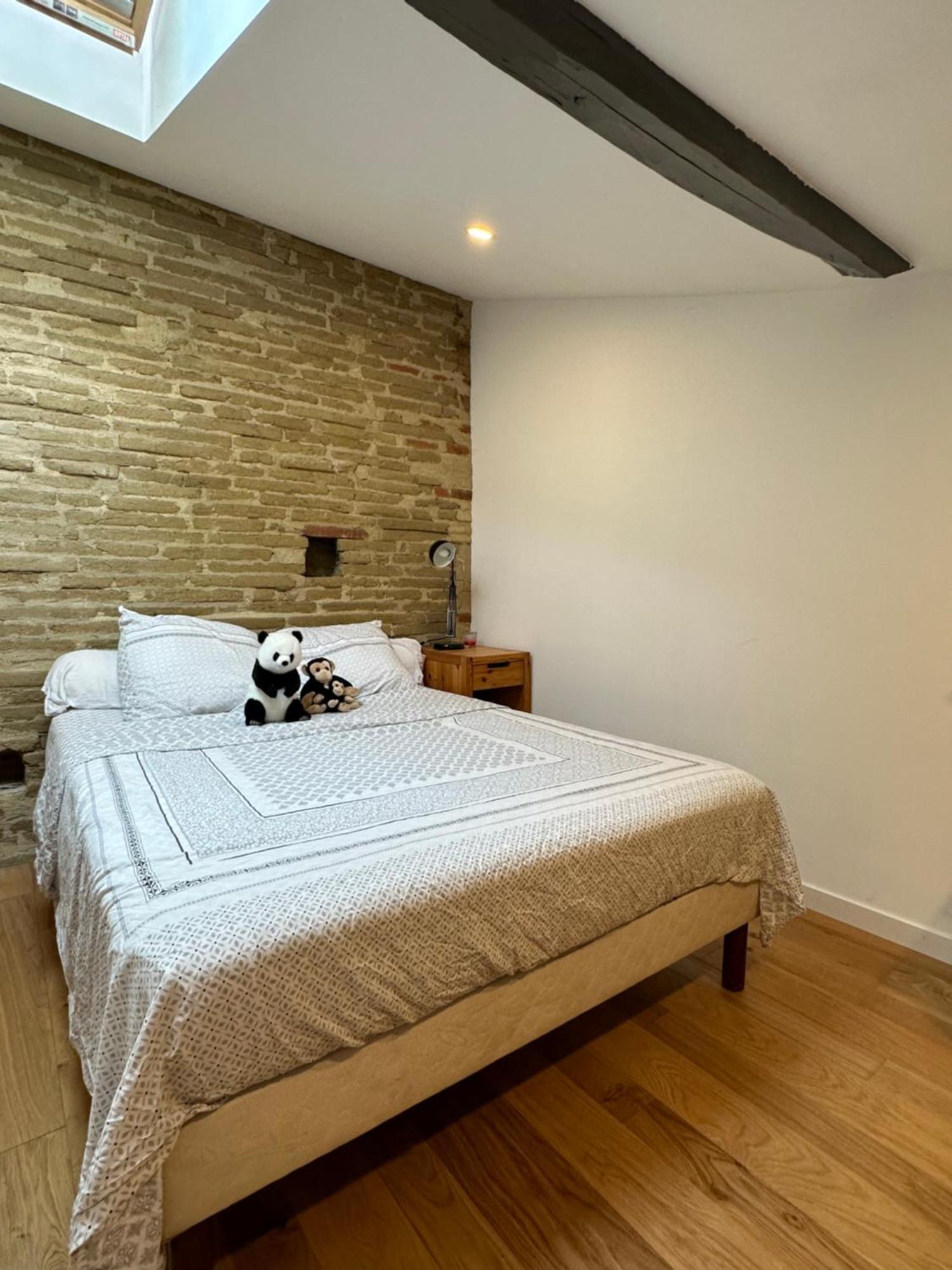 L Appartement Canal Du Midi Toulouse Ngoại thất bức ảnh